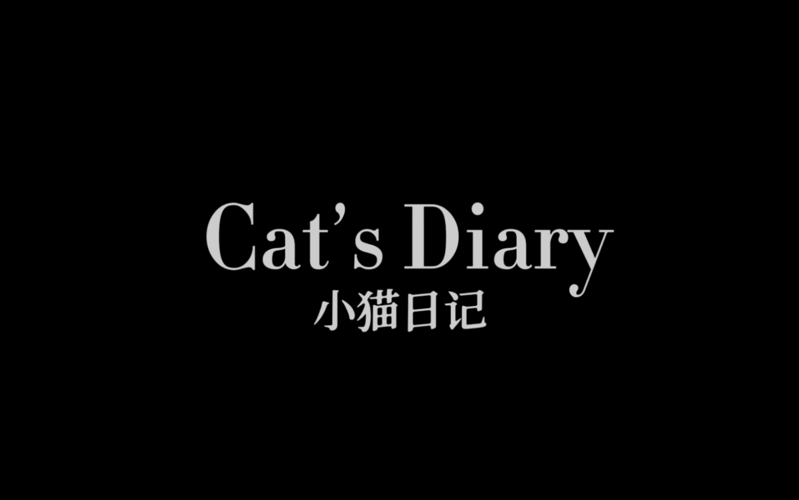 Cat's Diary | 小猫日记哔哩哔哩bilibili