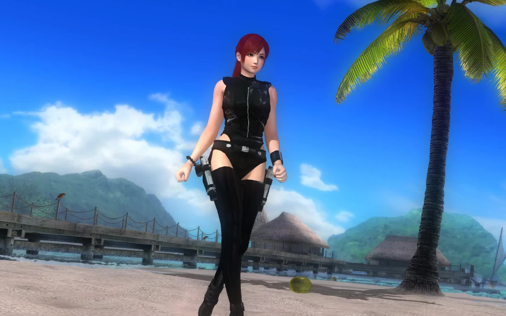 衣服也很好看虎妈和克里斯蒂的mod服装大家喜欢哪一个呢,死或生5doa5