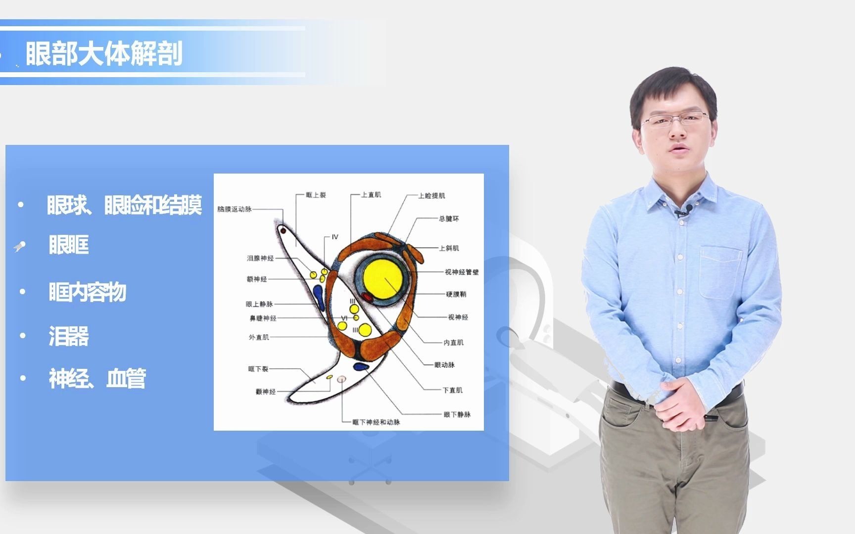 03眼眶影像解剖哔哩哔哩bilibili