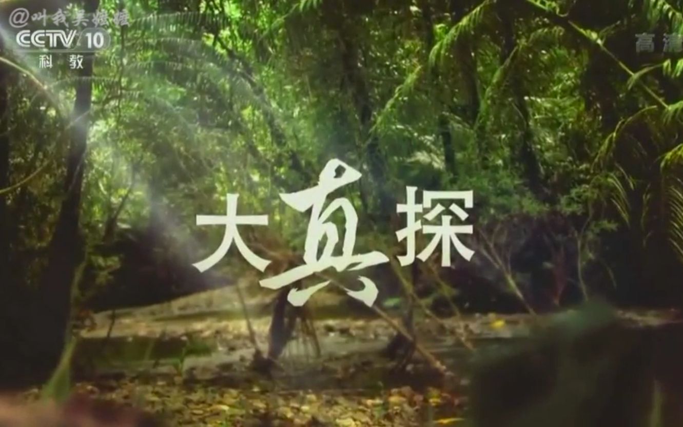 【cctv10】【赵路旁白】大真探——野生大地_哔哩哔哩_bilibili