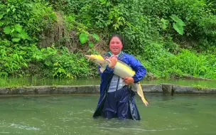 Video herunterladen: 贵州女子住深山瀑布上10年没有网络，投入170万养鱼年入50万