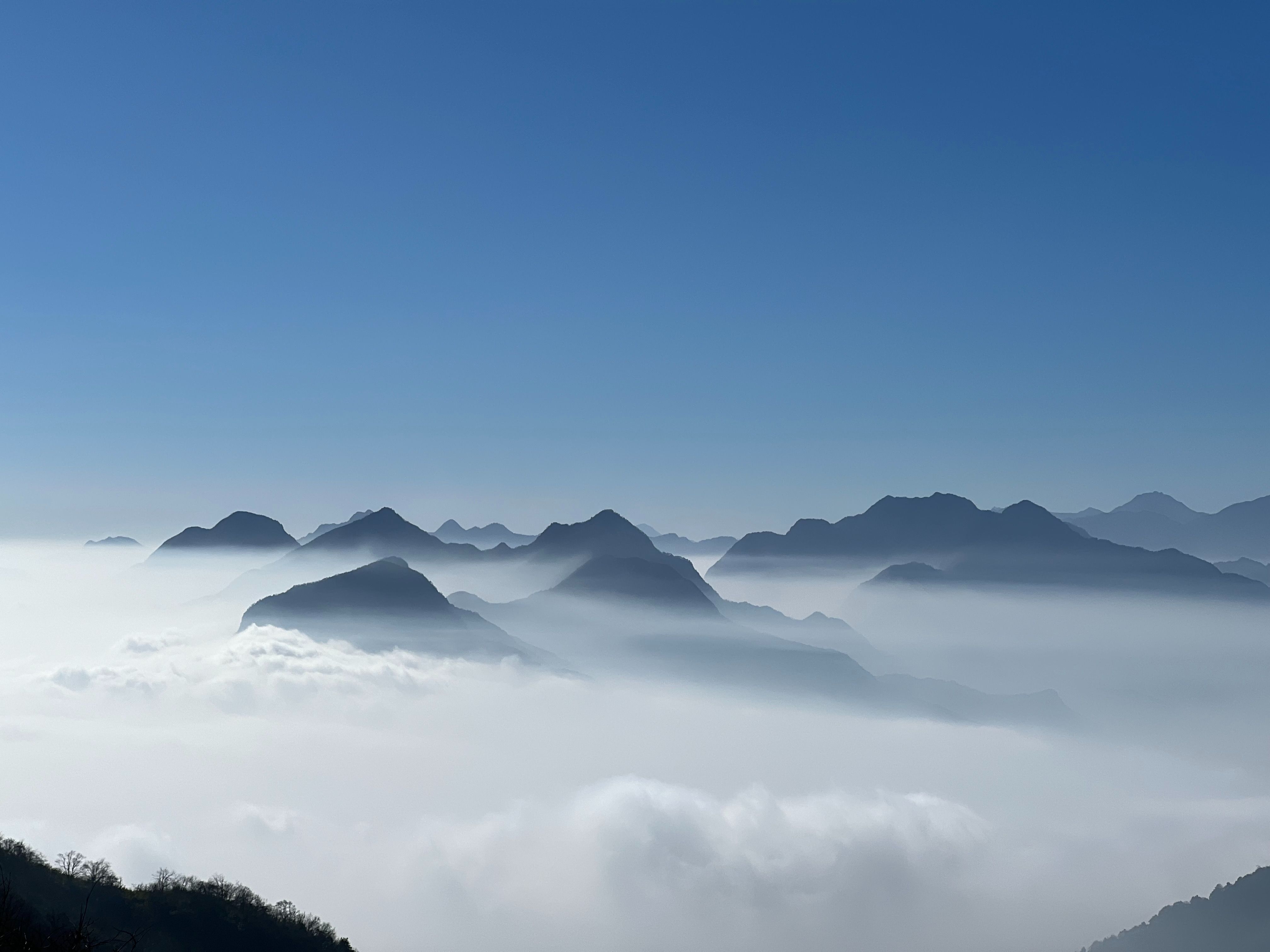 去码头整点薯条,来山顶喝口可乐