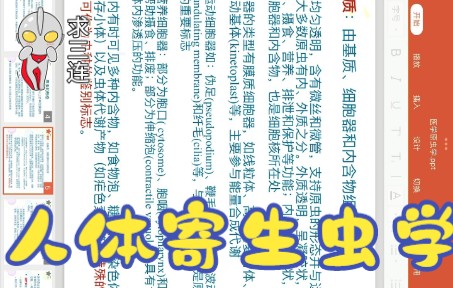 [图]【人体寄生虫学】医学原虫学总论