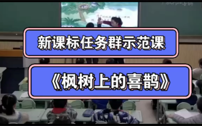 二下新课标任务群特级教师示范课《枫树上的喜鹊》(有配套课件+教案)哔哩哔哩bilibili