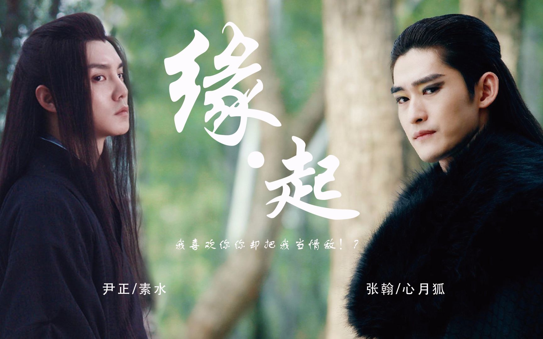 张翰x尹正心月狐x素水我喜欢你你却把我当情敌