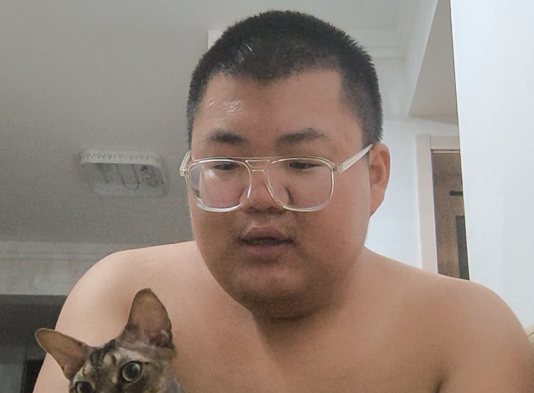 男同猪猪的抓马日常之我与东北菜老板不得不说的故事(视频最后和猪咪玩一玩捕捉爱的小游戏)哔哩哔哩bilibili