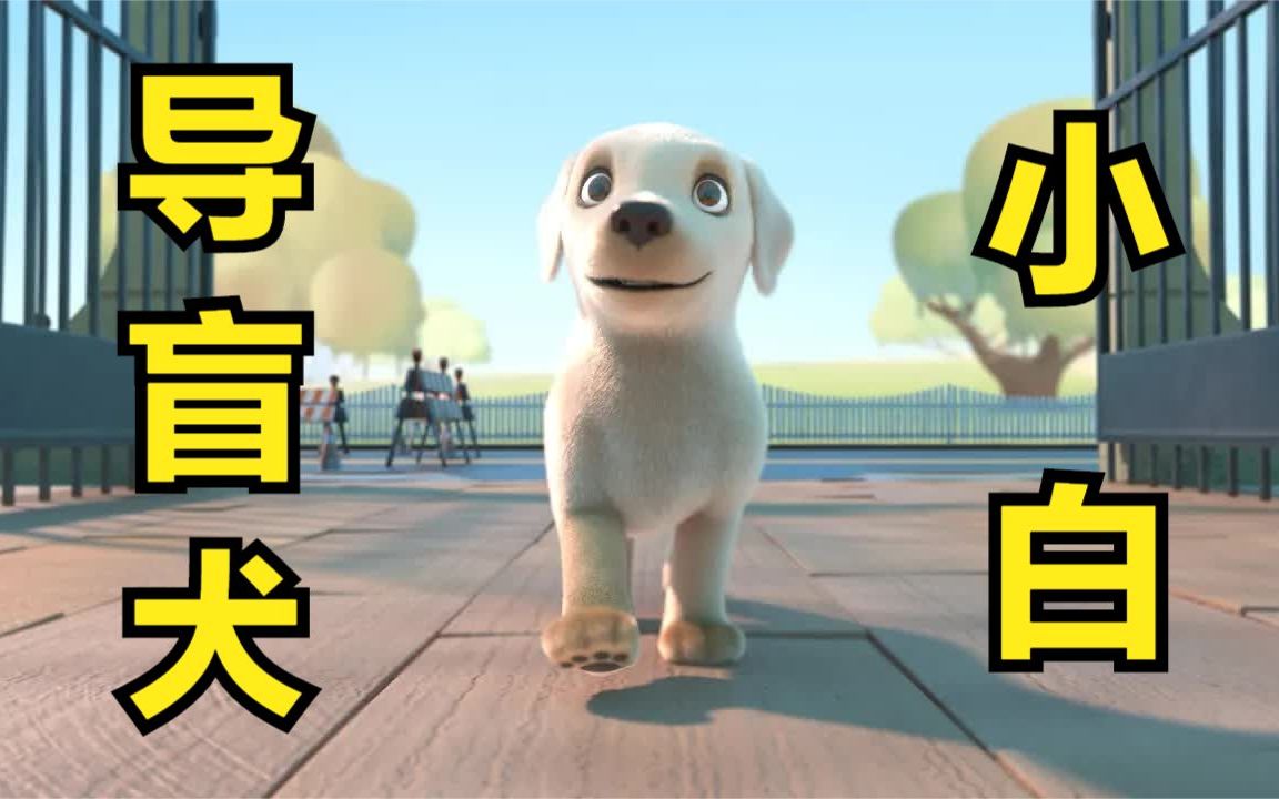 导盲犬小白的故事,可爱狗狗上大学哔哩哔哩bilibili