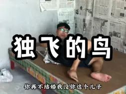 第91集：独飞的鸟就别拿个笼子想装着养了