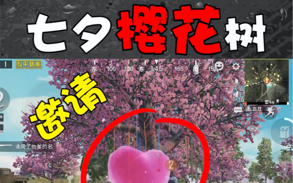 和平精英樱花树