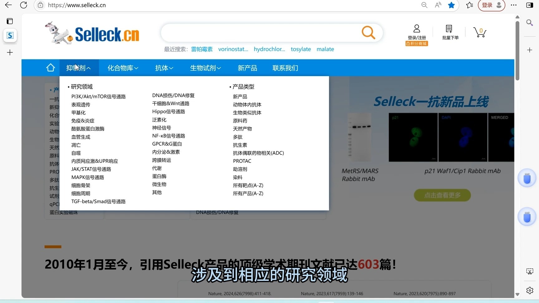 网站上的字幕怎么下载_网上下载的字幕素材怎么打开