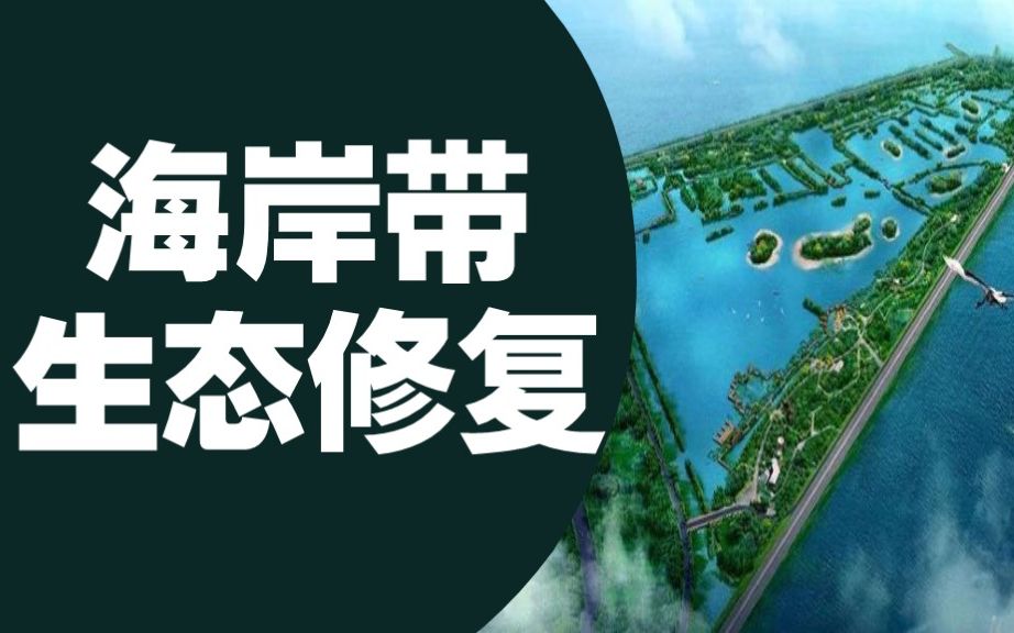 海岸带生态修复之沿海防护林建设实践哔哩哔哩bilibili