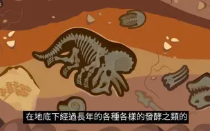 Descargar video: 【小茉和老高】我一直以为石油是动物的躯体发酵产生的呢！颠覆了！