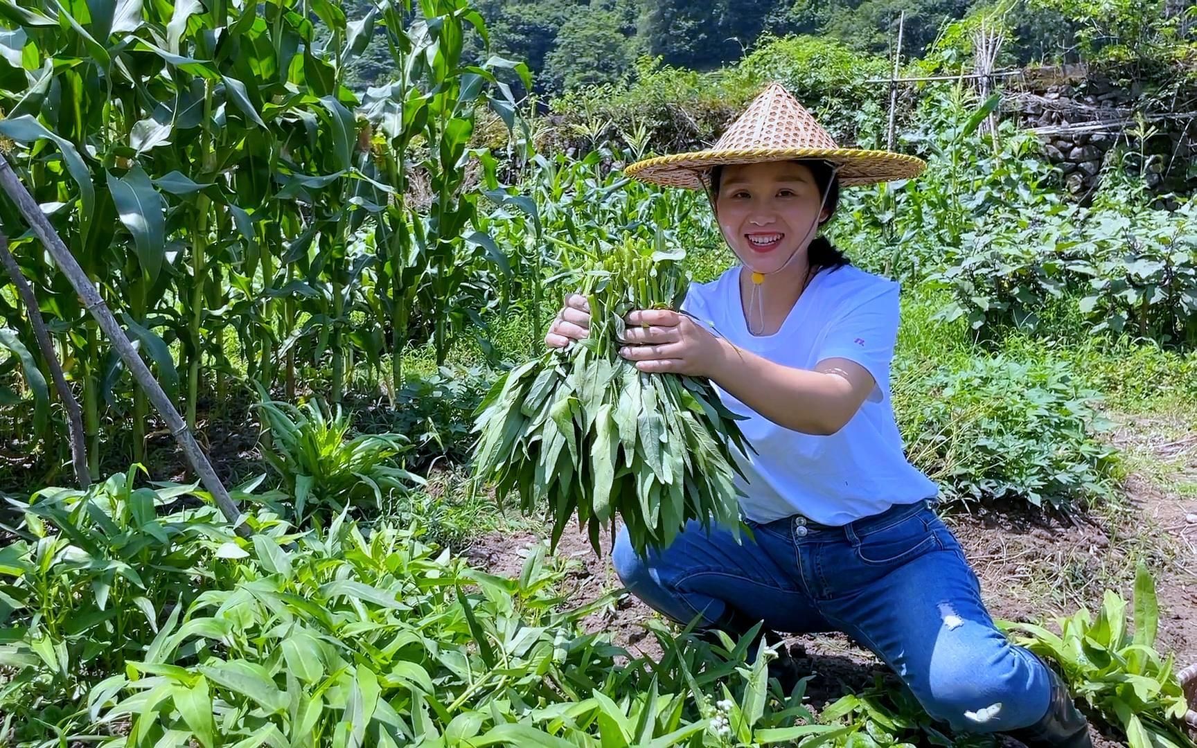 蔬菜丰收的季节,每天一道新菜,今天吃空心菜哔哩哔哩bilibili