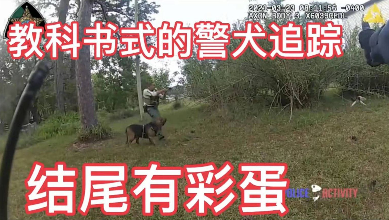 09期:教科书式的警犬追踪,结尾有彩蛋!哔哩哔哩bilibili