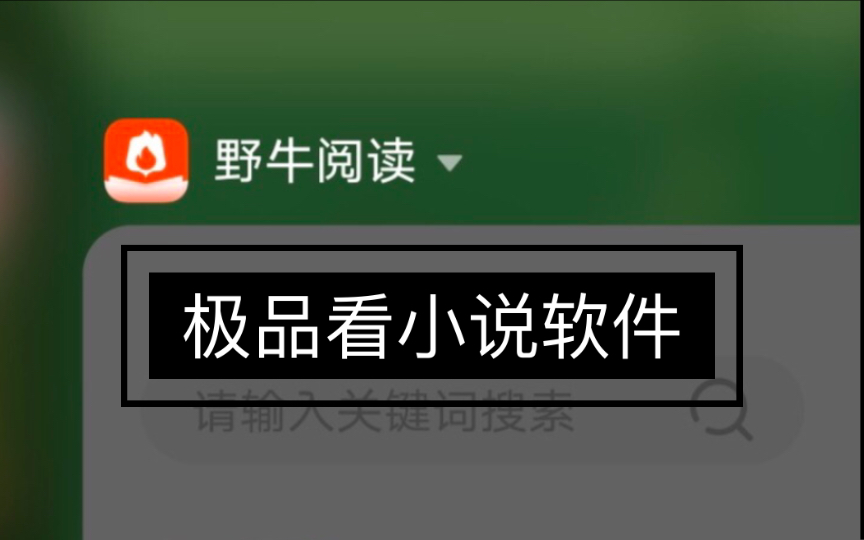 建议收藏!极品免费看小说神器!内置2300+小说源,你想看的都有!神仙看小说软件哔哩哔哩bilibili