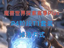 Descargar video: 魔兽世界Plus探索赛季P4阶段T1套装最新掉落方式，有人欢喜有人愁