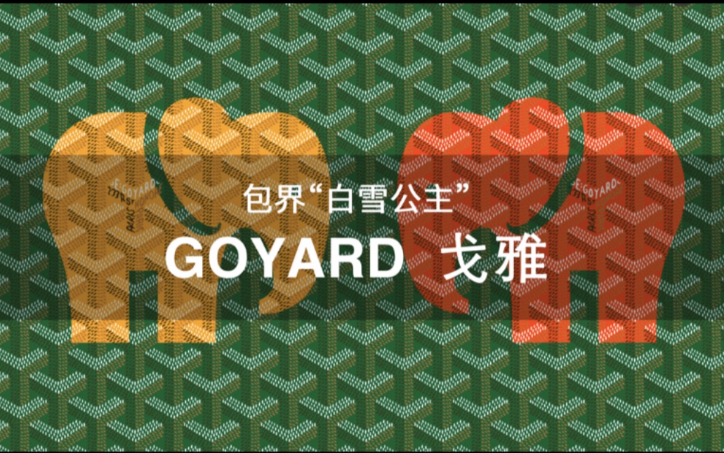 108个大牌 | 第10期 包界“白雪公主”Goyard 戈雅 王菲最爱的Goyard你会为它买单吗哔哩哔哩bilibili