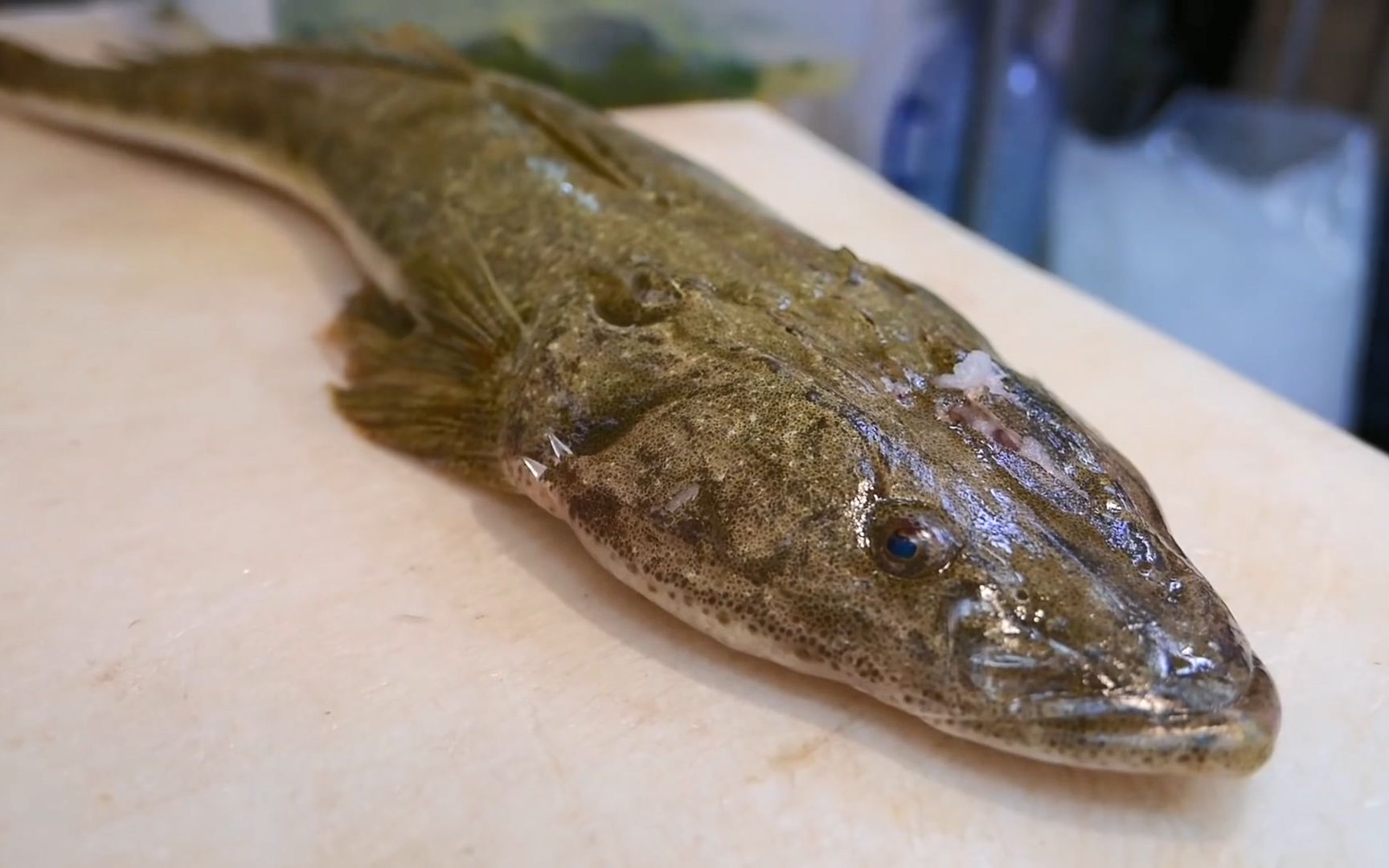 japanese street food - 蜥蜴鱼 套餐