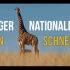 我去了南非最大的野生动物园克鲁格国家公园「Dean Schneider」