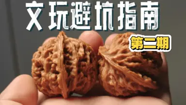 龙门涧核桃-哔哩哔哩_Bilibili