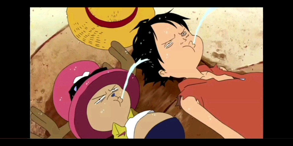 乔巴和路飞,"两个白痴"