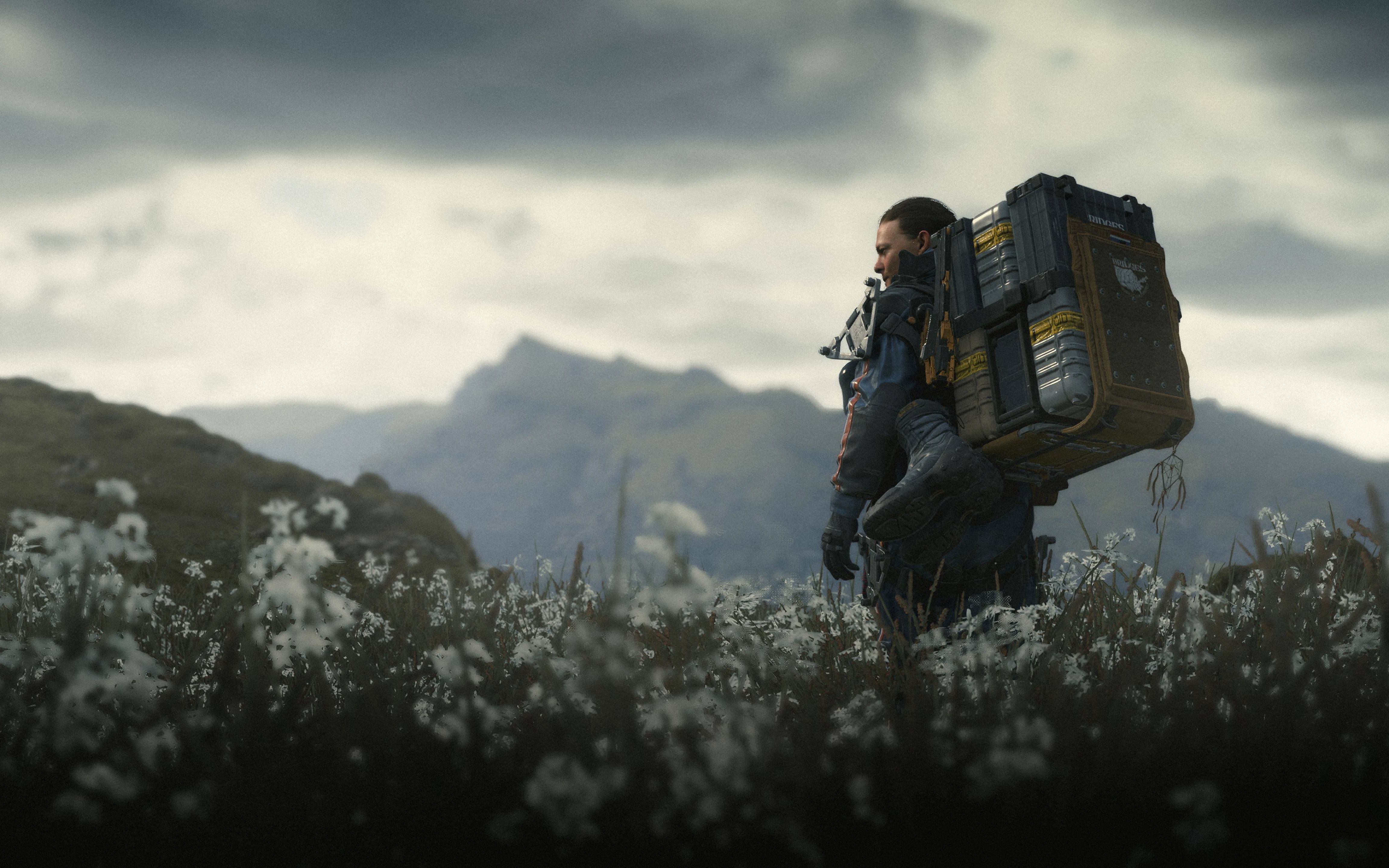 死亡搁浅导剪版(no.228 145标准订单)540lll完成纪念