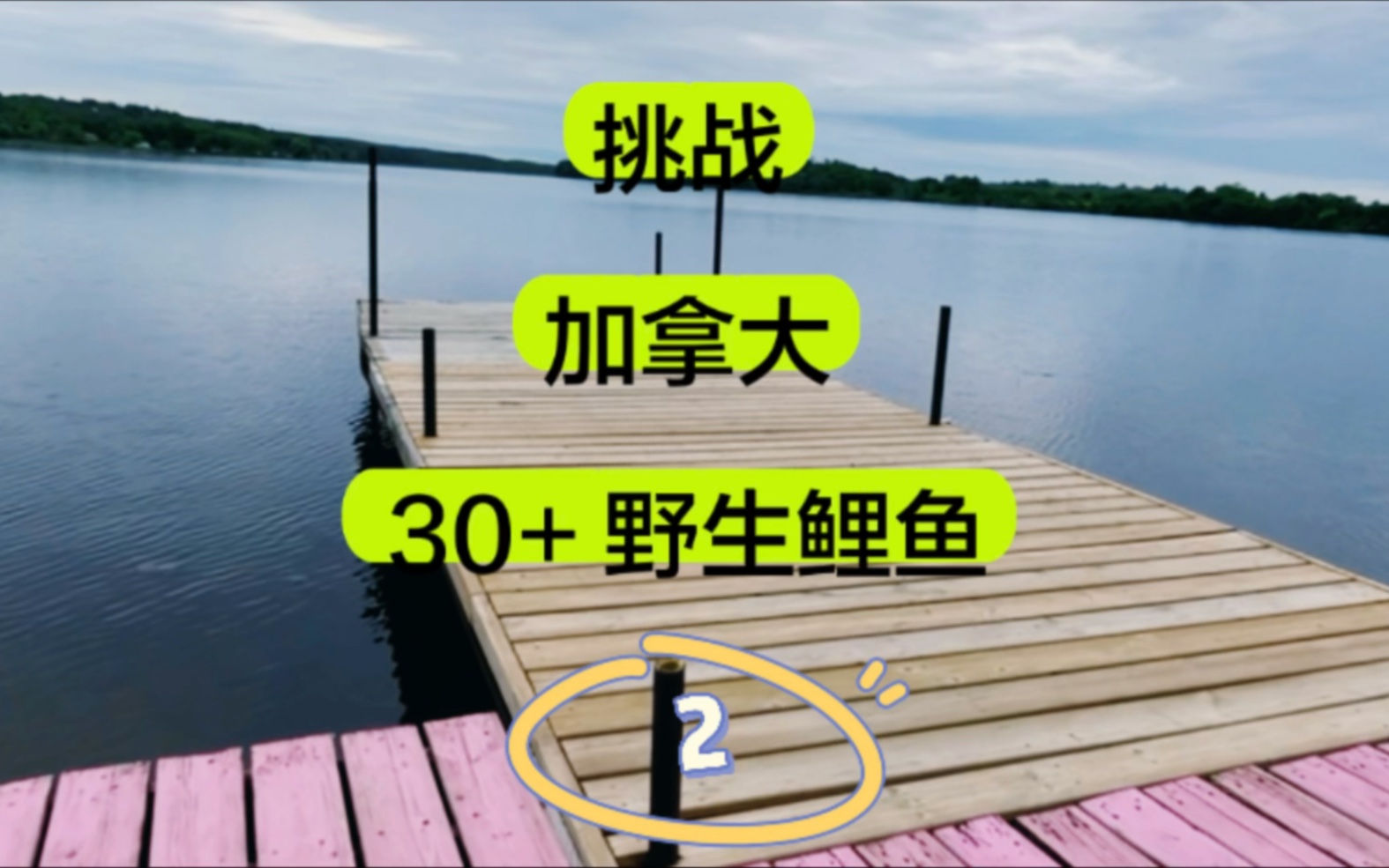 加拿大30+巨物鲤鱼挑战第二集,我拿来了我最大的线组了,尽全力!哔哩哔哩bilibili