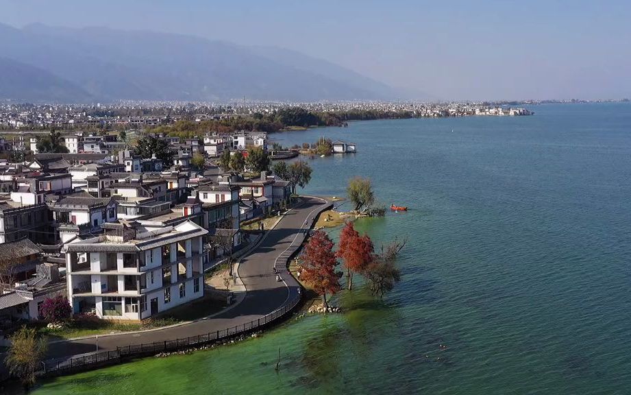 【治愈系风景】大理的洱海生态廊道风景还是非常美的,就是最近水有点