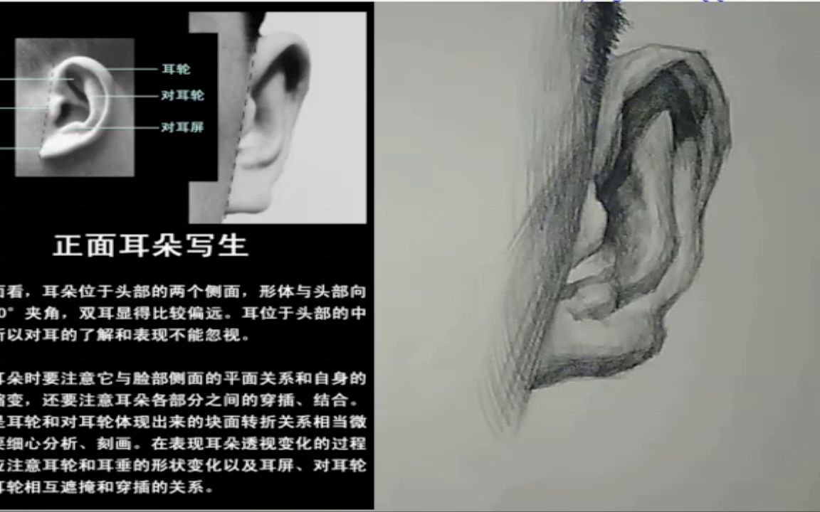 素描入门必看教程:真人头像耳朵的画法步骤(一),零基础必看哦哔哩哔哩bilibili