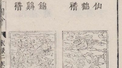 文武官员、公侯伯驸马服色