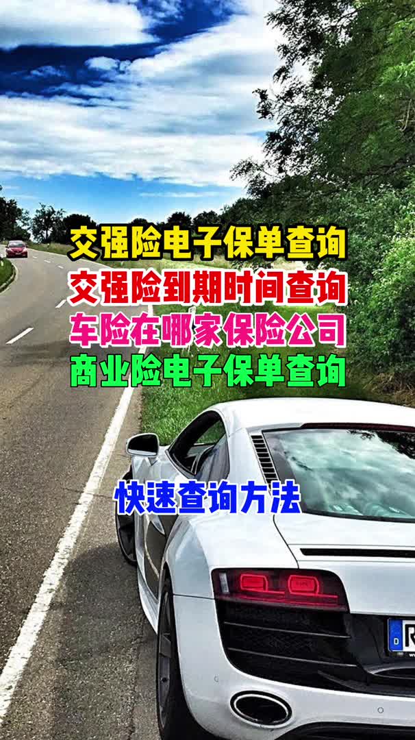 交强险电子保单查询,过户车,前任车主投保哔哩哔哩bilibili