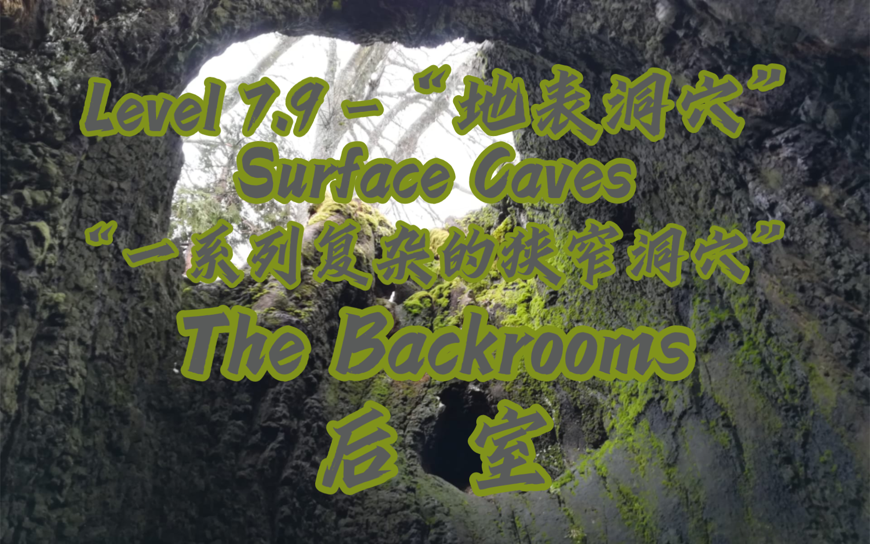 【The Backrooms / 后室】Level 7.9  “地表洞穴” — 植物洞穴哔哩哔哩bilibili