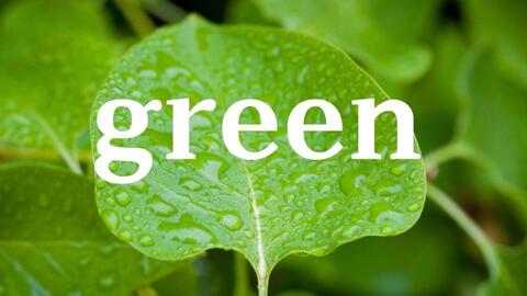 Tell Me Something Green 告诉我绿色的东西 英文儿歌 哔哩哔哩