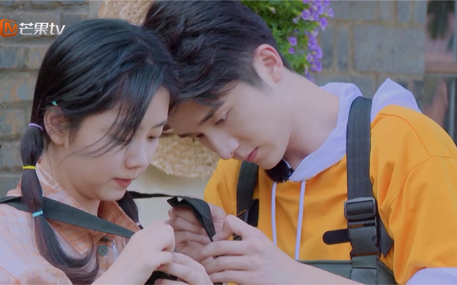 奇妙小森林花絮 | 二哥贺子秋×小妹李尖尖 | 以家人之名_哔哩哔哩