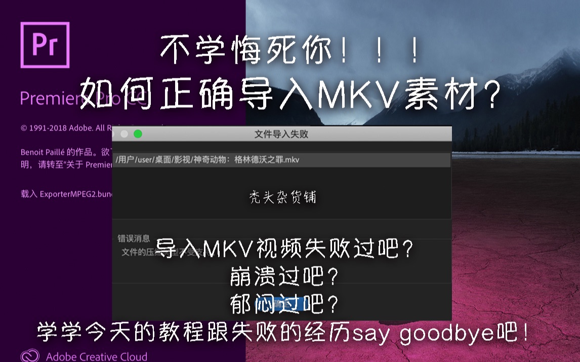 【PR教程】如何解决MKV素材无法正常导入的问题?哔哩哔哩bilibili