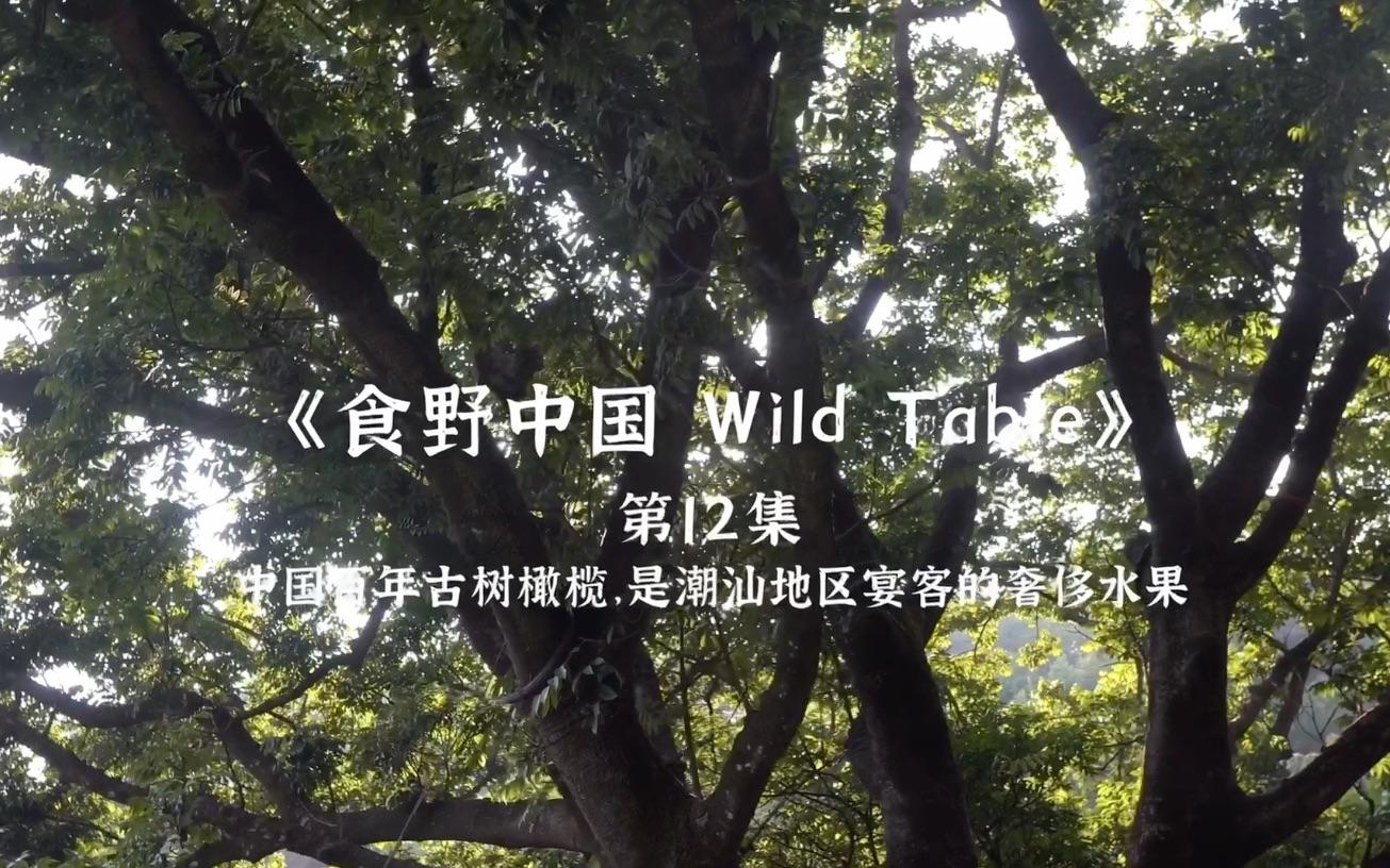 [图]《食野中国 Wild Table》第12集预告片