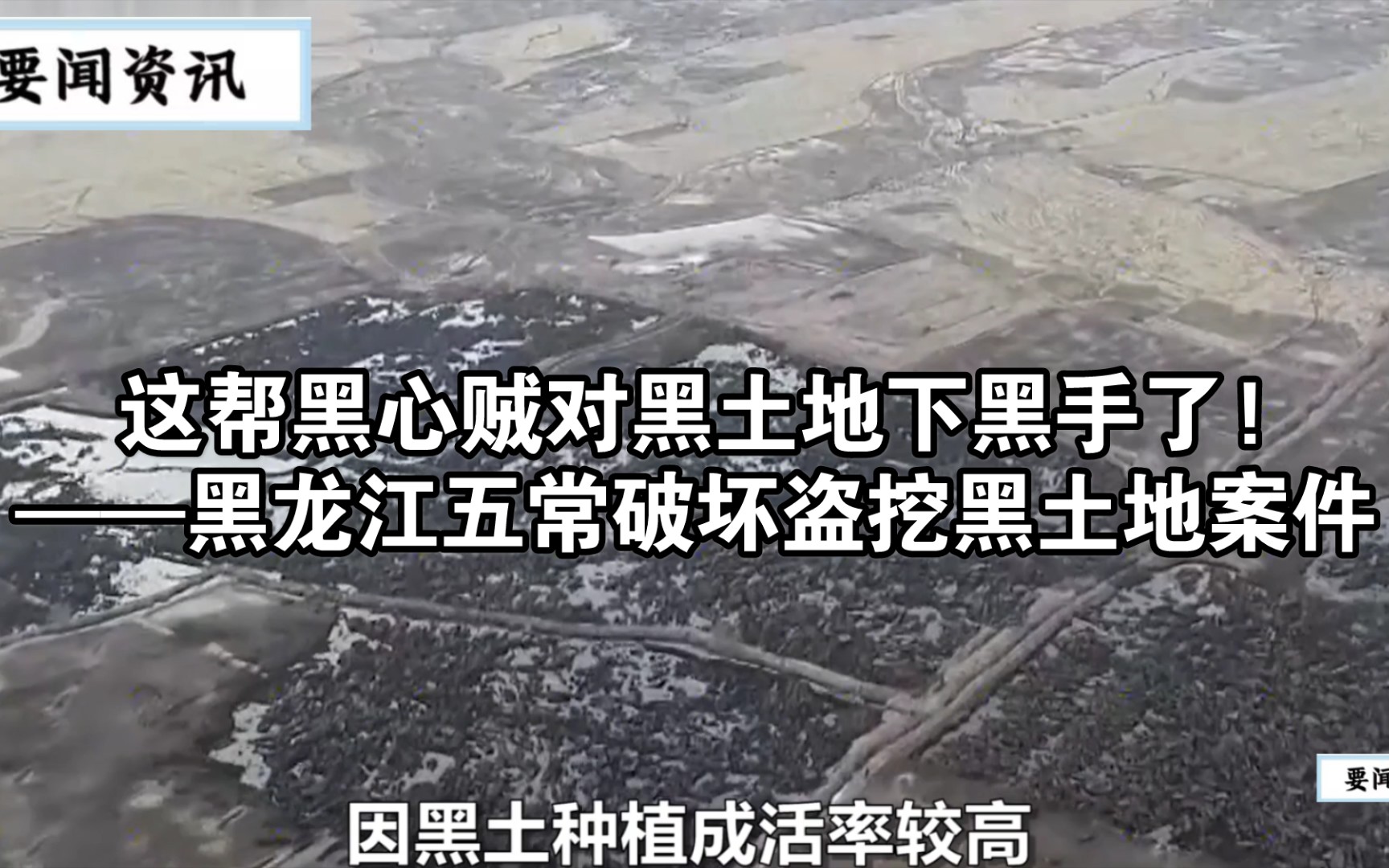 这帮黑心贼对黑土地下黑手了!——黑龙江五常破坏盗挖黑土地案件.