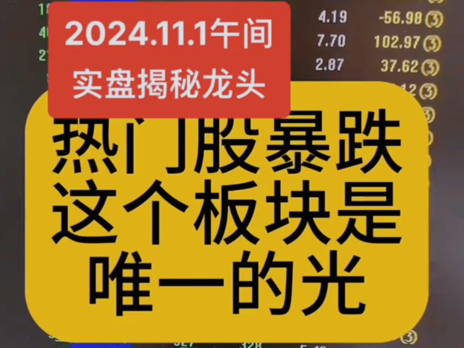 热门股暴跌!这个板块是唯一的光!实盘揭秘龙头!哔哩哔哩bilibili