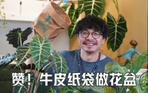 Video herunterladen: 跟着买就对了｜牛皮纸袋做绿植花盆真是绝了