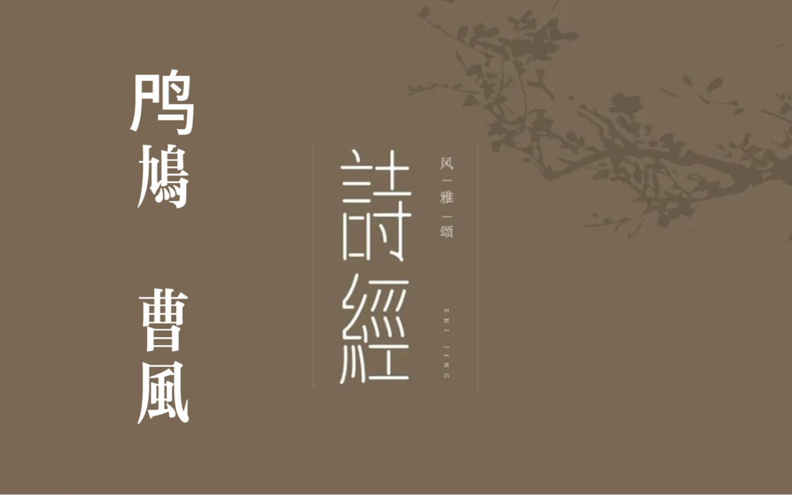 你我共读《诗三百》之《鸤鸠》(含字幕)