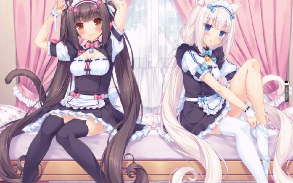 [图]论如何正确打开fps第一人称射击大作nekopara