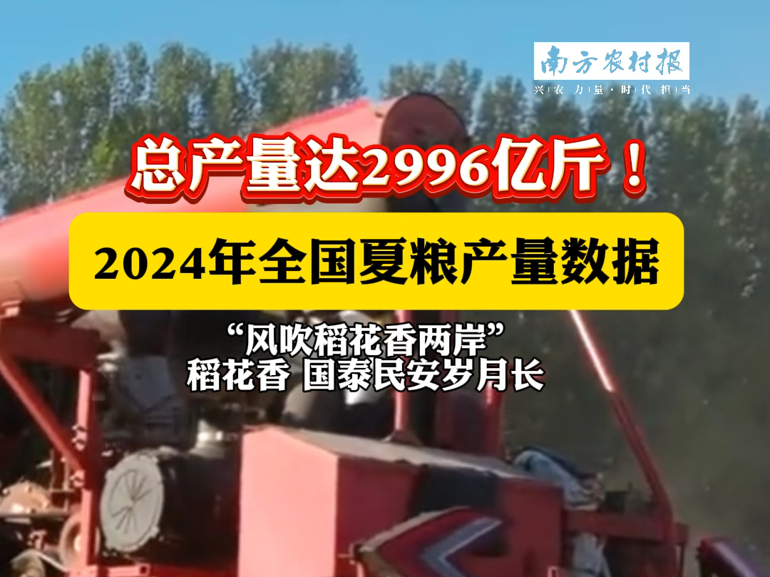 国家统计局7月12日发布数据显示,2024年全国夏粮总产量14978万吨(2996亿斤)比上年增长2.5%.#夏粮丰收 #夏收哔哩哔哩bilibili