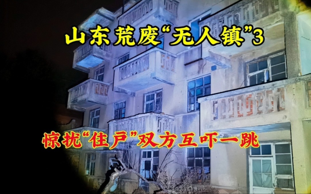 [图]夜探山东荒废“无人镇”3，惊扰了原“住户”，双方互吓一跳！