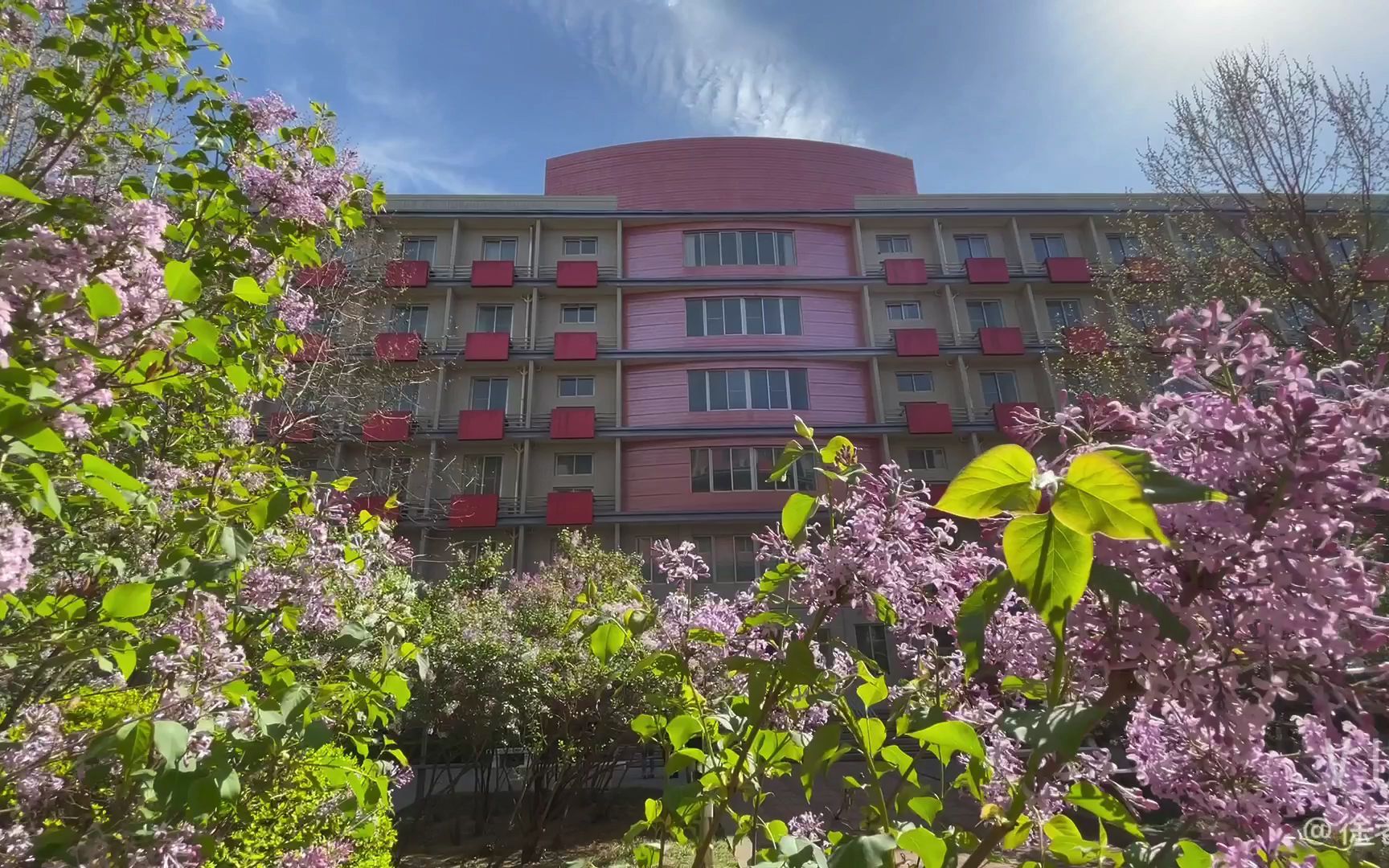 北京市第八十中学丨校园春色_哔哩哔哩_bilibili