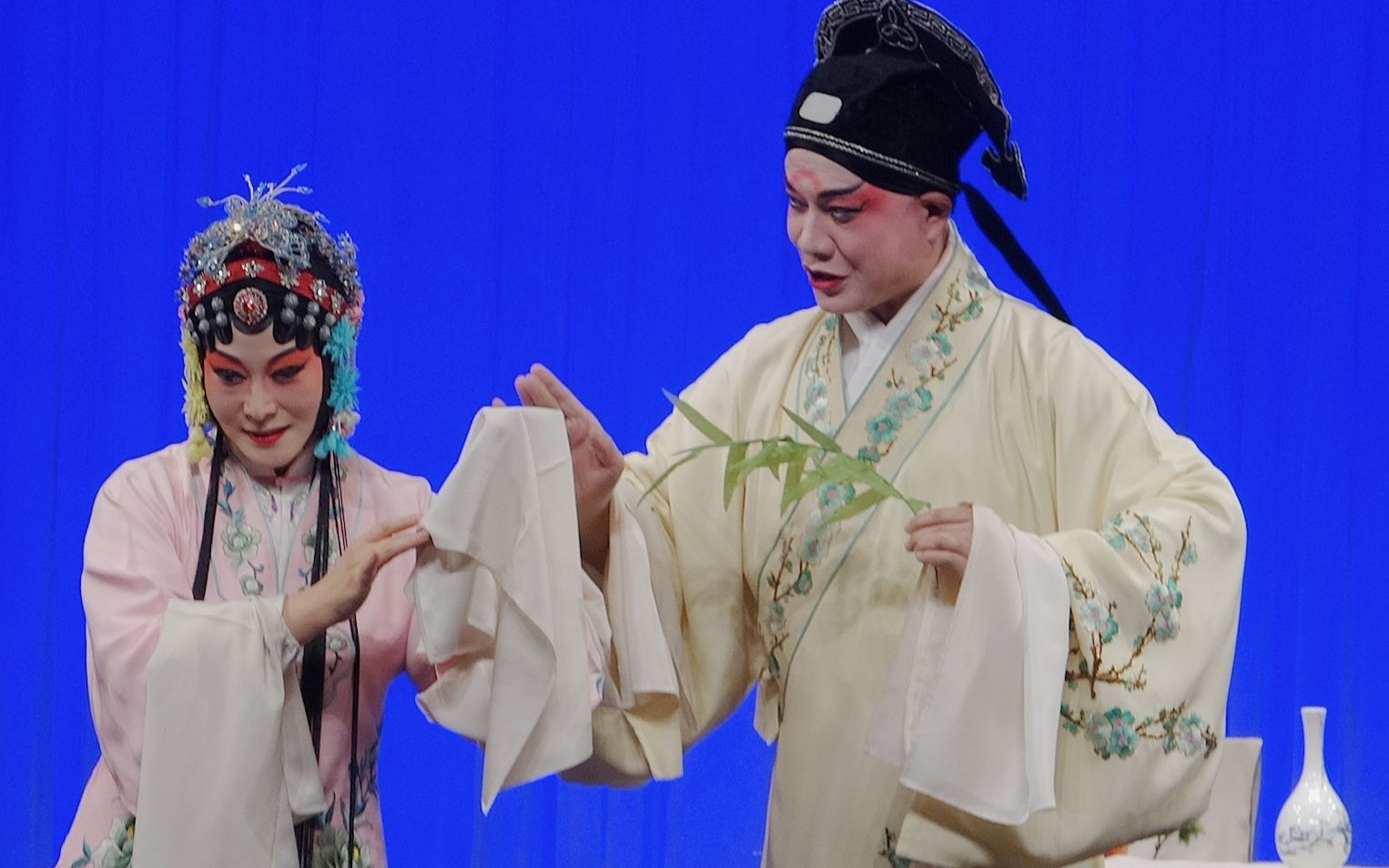 191109兰苑孔爱萍钱振荣牡丹亭游园惊梦选段皂罗袍好姐姐山桃红