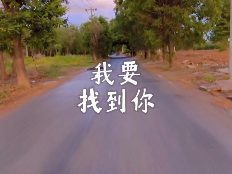 我要找到你,不管南北东西!