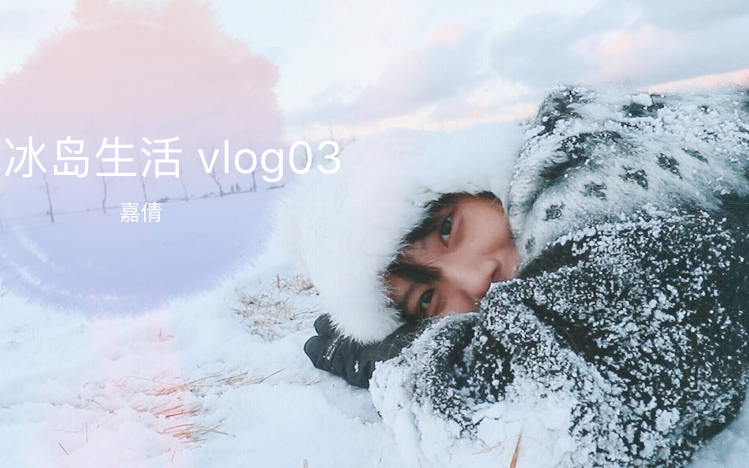 我的冰岛生活 Vlog.03 | 下雪了,冰岛的居民区长什么样?哔哩哔哩bilibili