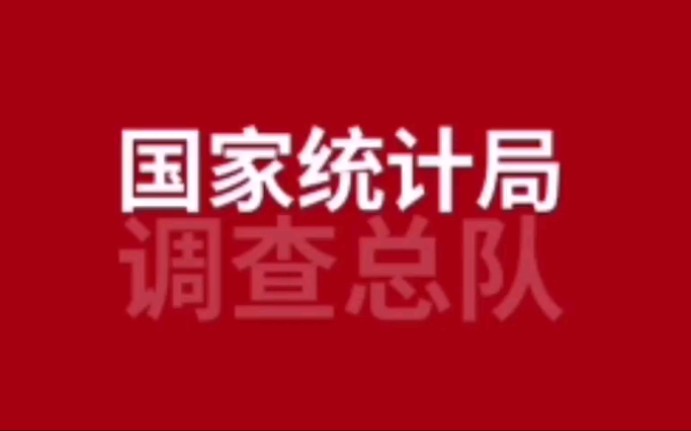 国家统计局调查总队怎么面试的?哔哩哔哩bilibili