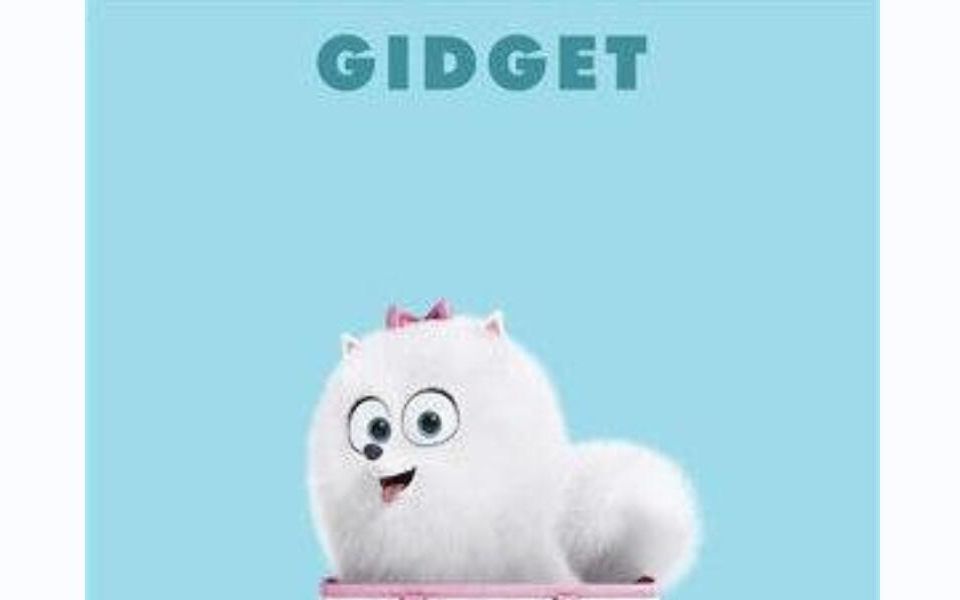 【可爱值max+武力值max的博美啾啾gidget】【萌宠大机密】【中英cut】【勇敢爱】【恋爱脑】哔哩哔哩bilibili