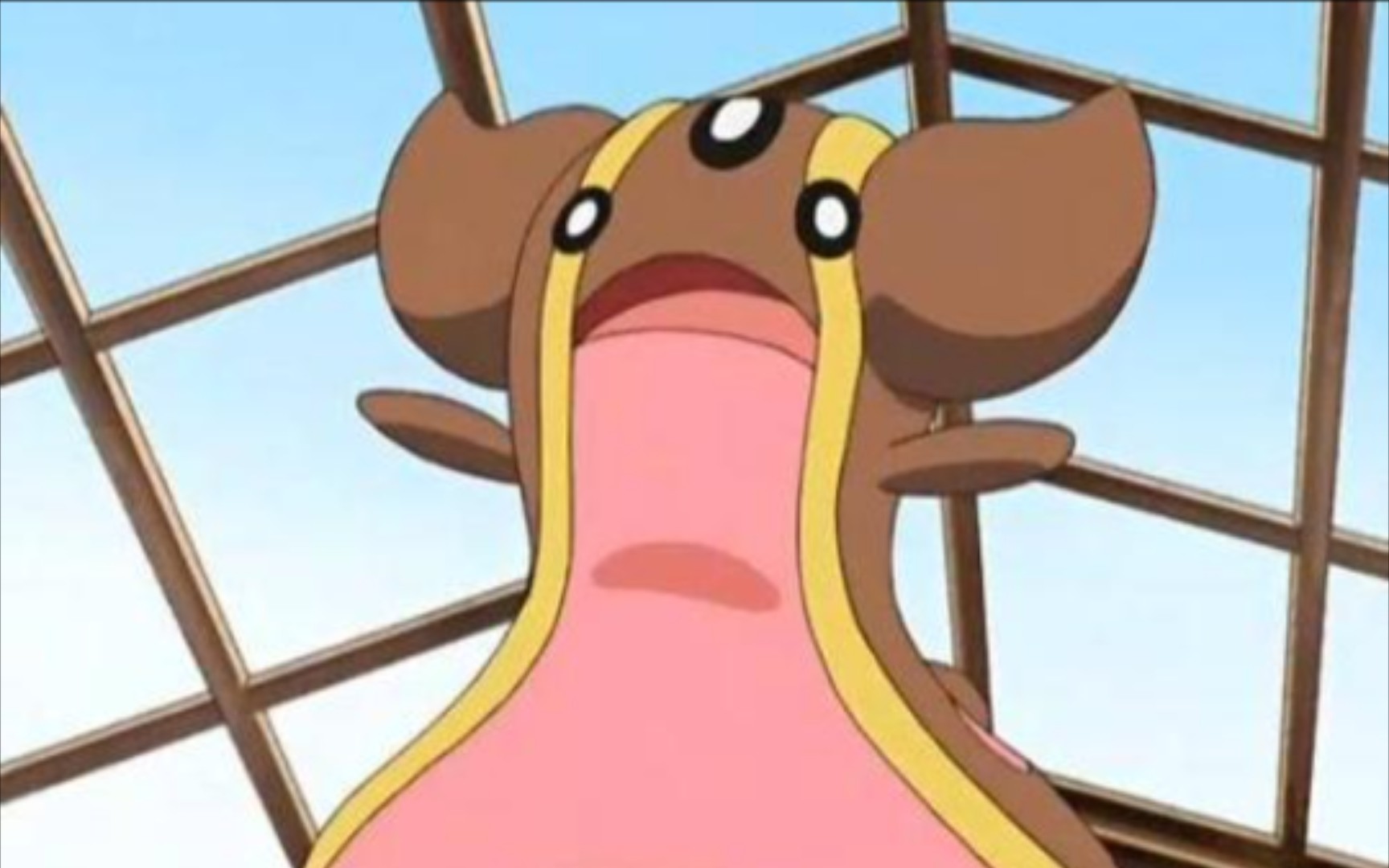 【珍珠】218号路第三只闪光海兔兽7878_哔哩哔哩bilibili_pokemon